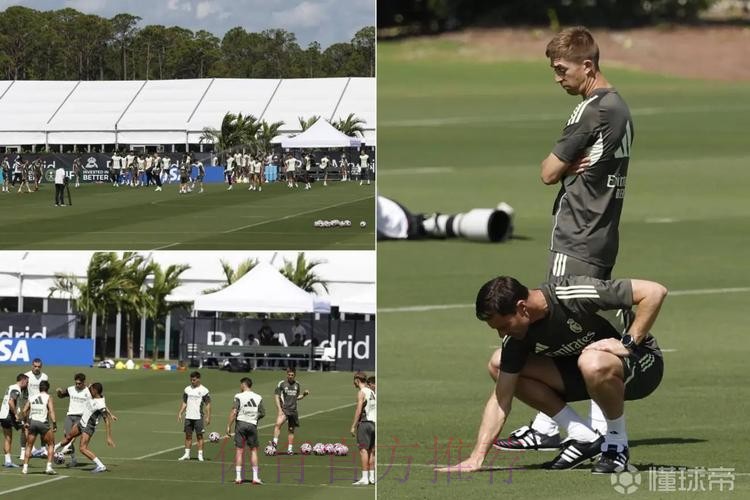 投入10万美元!马卡:皇马改造世俱杯训练场 投入10万美元!马卡:皇马改造世俱杯训练场